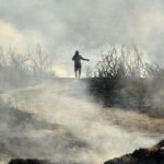 Cyprus Declares Emergency as Wildfires Threaten Limassol Region
