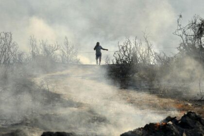 Η Κύπρος Κηρύσσει Κατάσταση Έκτακτης Ανάγκης καθώς οι Δασικές Πυρκαγιές Απειλούν την Περιοχή της Λεμεσού