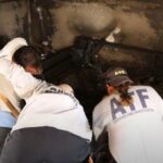 קפריסין משיקה חקירה רשמית בנוגע לעבירות לכאורה במגזר הציבורי