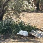 Police Investigate Unnatural Death of 54-Year-Old with Severe Burns in Nicosia