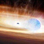 cover New type of supernova detected as black hole causes star to explode