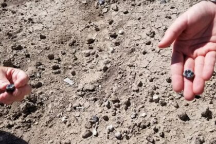 cover Ethiopian fossils reveal new species in human evolutionary lineage