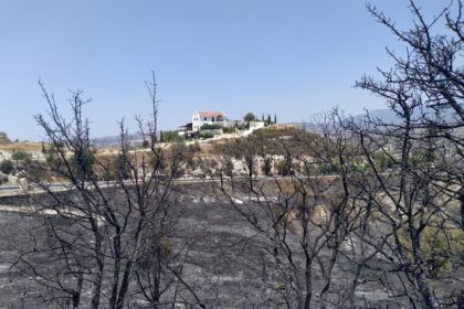 cover Cyprus vineyards hit by wildfire