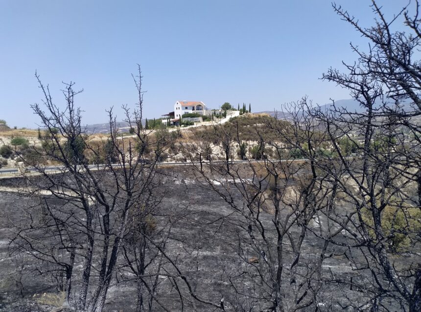 εξώφυλλο Αμπελώνες στην Κύπρο πλήττονται από πυρκαγιά
