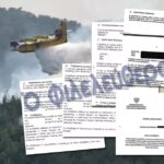 Mother of Forestry Official Under Investigation for Corruption