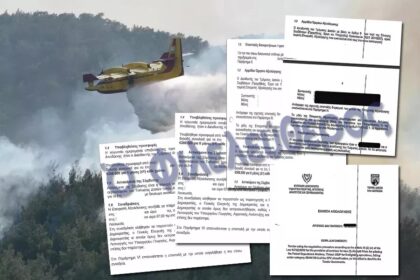 Mother of Forestry Official Under Investigation for Corruption