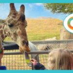 Autism certification — Greater Palm Springs Introduces Autism Certification Grant for Hospitality Businesses