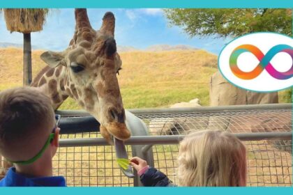 Autism certification — Greater Palm Springs Introduces Autism Certification Grant for Hospitality Businesses
