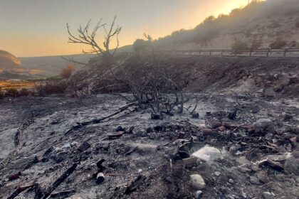 Wildfire Scars in Limassol Raise Concerns of Long-Term Barren Land