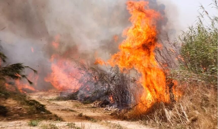 גבר נעצר בחשד שגרם לשריפה ביער בעקבות פחמים בוערים בק NIVסילי