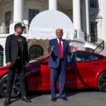 cover Tesla loyalty plunges after Musk backs Trump, data shows