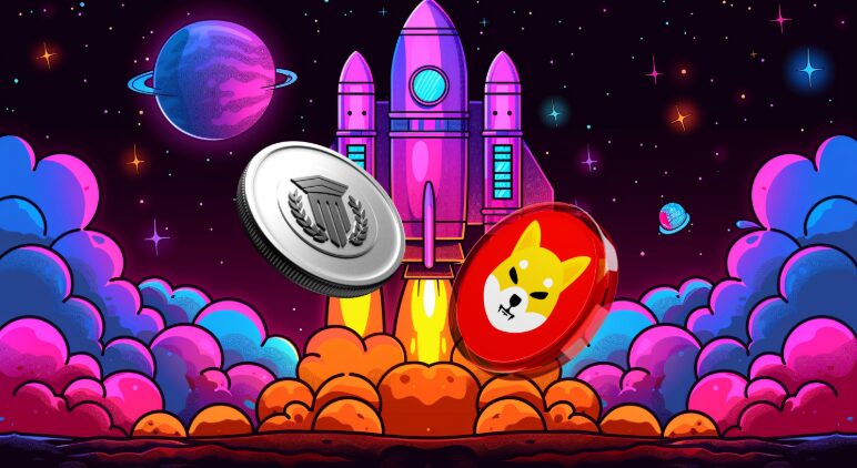 Why Analysts Favour DeFi Crypto Over Shiba Inu (SHIB) This Summer
