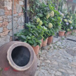 Η Κοινότητα Alona Αποκαλύπτει τον Πρώτο Διαγωνισμό Κήπων της Κύπρου