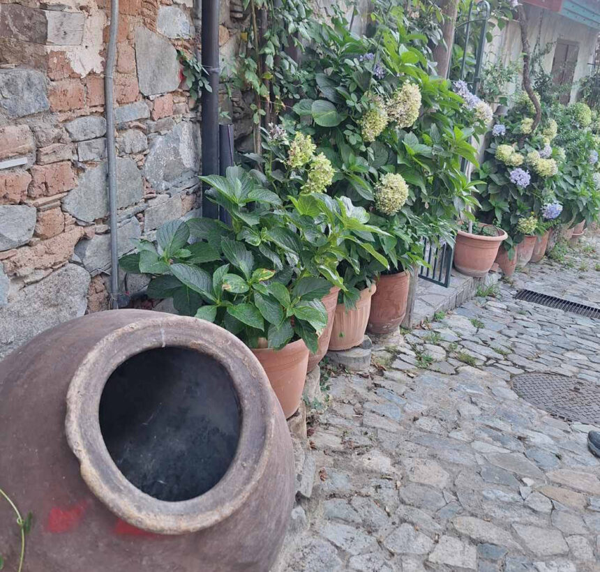 Η Κοινότητα Alona Αποκαλύπτει τον Πρώτο Διαγωνισμό Κήπων της Κύπρου