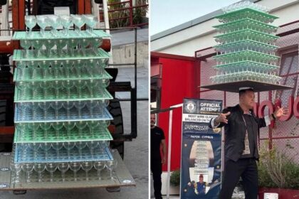 Cypriot Dancer Breaks Guinness Record Balancing 511 Wine Glasses