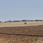 Greek Cypriot Man Arrested on Drug Trafficking Suspicions