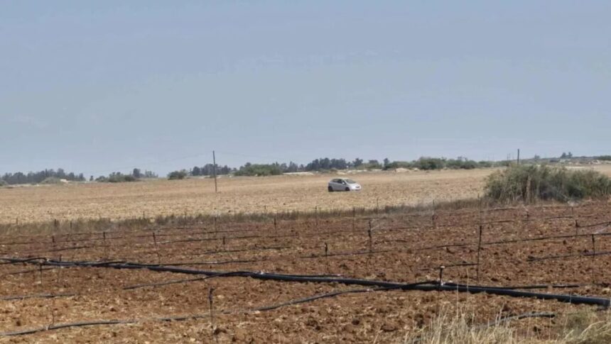 Greek Cypriot Man Arrested on Drug Trafficking Suspicions