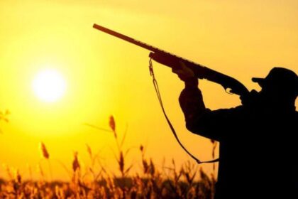 Man Shot by Shotgun While Working in Pera Chorio Nisou