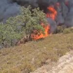 Limassol Fire Engine Arrived 19 Minutes After First Report