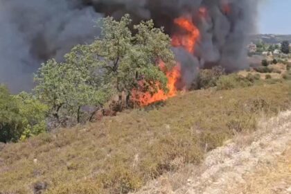 Limassol Fire Engine Arrived 19 Minutes After First Report