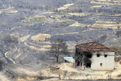 Health Ministry Confirms Food Safety Following Fire Retardant Use in Limassol