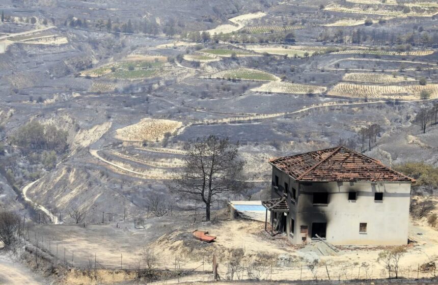 Health Ministry Confirms Food Safety Following Fire Retardant Use in Limassol