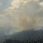Firefighters Contain Wildfire Near Tsada