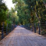 Musical Route and Culinary Delights at Lakatamia River Walk