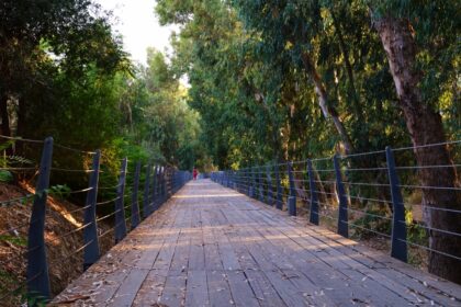 Μουσική Διαδρομή και Γαστρονομικές Απολαύσεις στην Πορεία Ποταμού Λακατάμια
