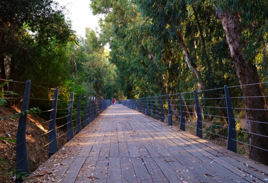 Musical Route and Culinary Delights at Lakatamia River Walk