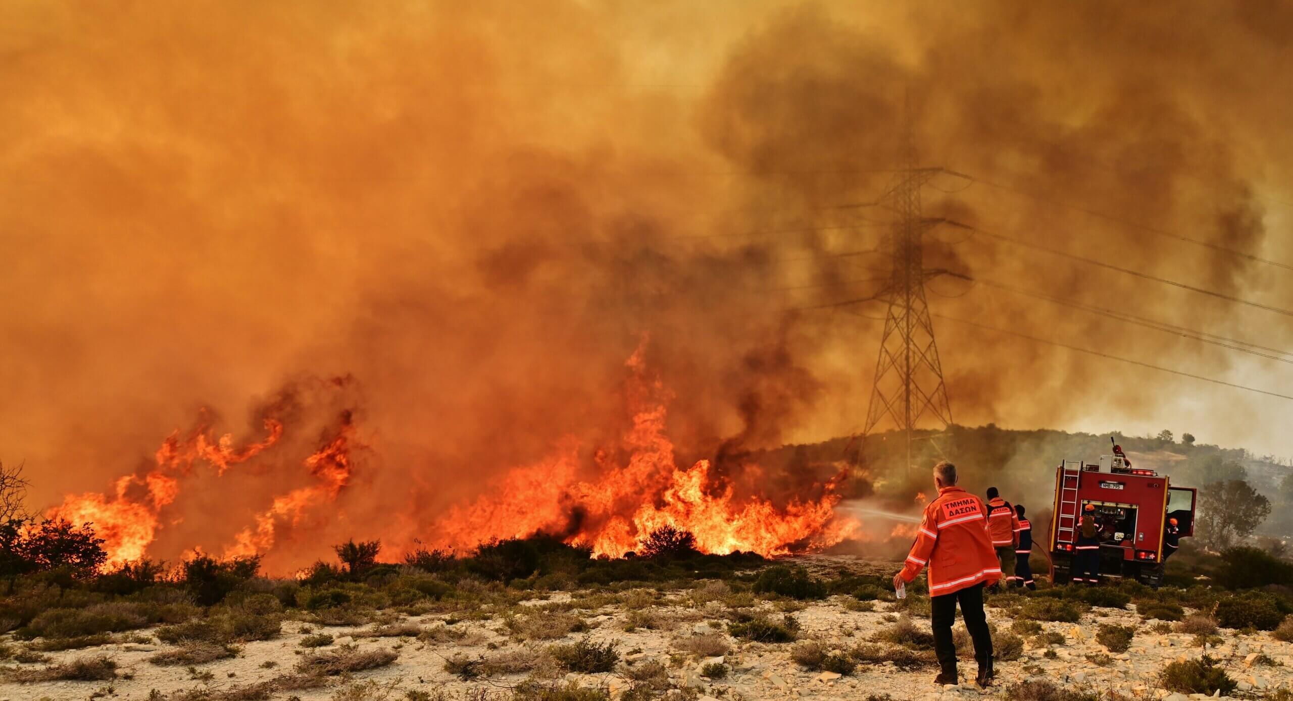 Περιβαλλοντικό και Οικονομικό Τίμημα των Δασικών Πυρκαγιών