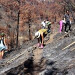 Climate adaptation: Cyprus Faces Long Road to Recovery After Catastrophic Megafire