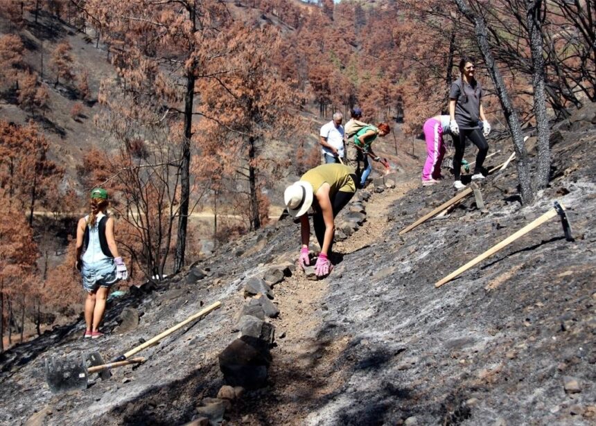Climate adaptation: Cyprus Faces Long Road to Recovery After Catastrophic Megafire