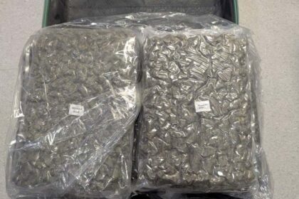 Fifth Arrest in Major Cyprus Drug Trafficking Case