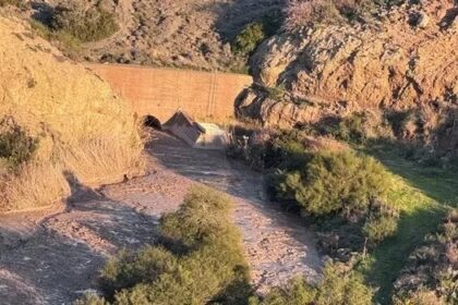 Hundreds of Bats Left Mavrokolympos Dam Before Flooding
