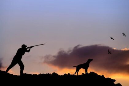 Hunting Banned in Fire-Damaged Areas of Limassol Mountains