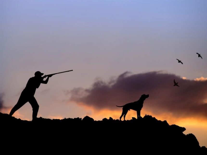Hunting Banned in Fire-Damaged Areas of Limassol Mountains