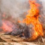 Aircraft Deployed to Tackle Paphos Village Fire