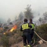 Forestry Department Recruitment Procedures Overhauled Amid Staffing Crisis