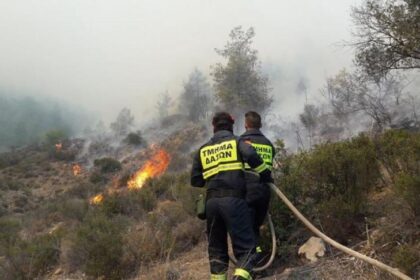 Forest Fire Near Troodos Picnic Area Quickly Contained