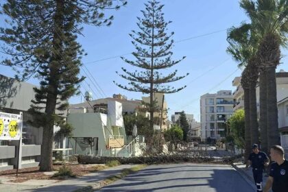Strong Winds Cause Tree Collapse in Larnaca, Resulting in Power Outages