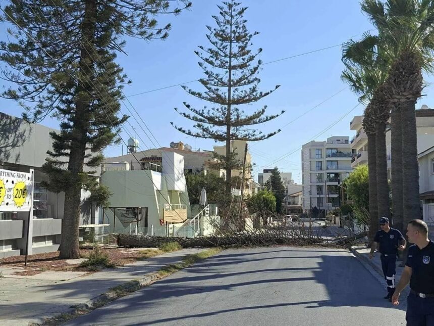 Strong Winds Cause Tree Collapse in Larnaca, Resulting in Power Outages