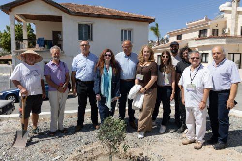 Bicommunal tree: Bicommunal Women’s Group Advances Tree Planting Initiatives in the Buffer Zone