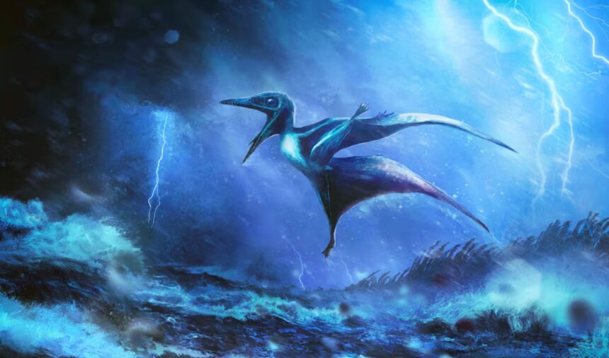 Fossils Tell Story of Baby Pterosaurs Caught in Tropical Storm