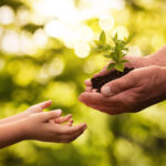 Cyprus Goes Green on World Tourism Day