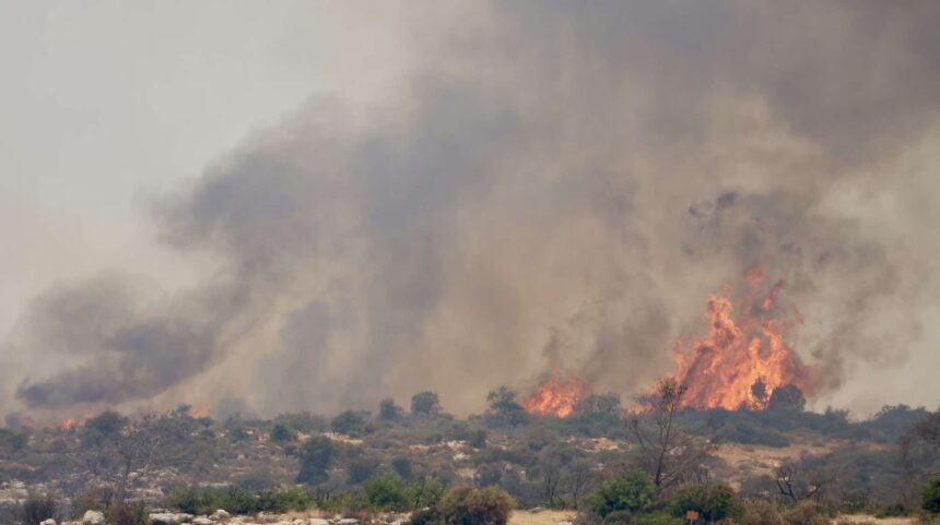 Paphos Village Blaze Brought Under Control by Fire Service