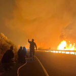 Cyprus MEPs Call for EU Support After Limassol Wildfire
