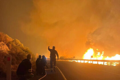 Cyprus MEPs Call for EU Support After Limassol Wildfire