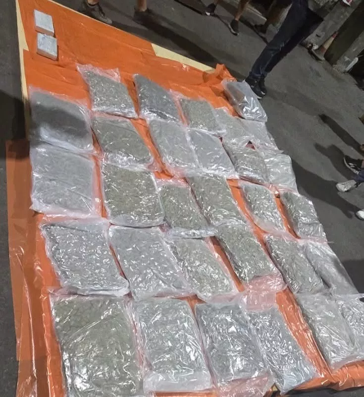 Four Arrested in Major Drug Bust in Limassol