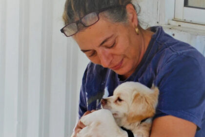 Constantina Constantinou: Volunteer at Saving Pound Dogs Cyprus